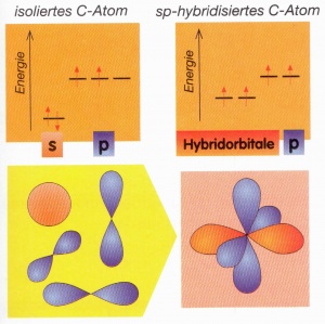 Dieses Bild zeigt die sp-Hybridisierung an einem C-Atom