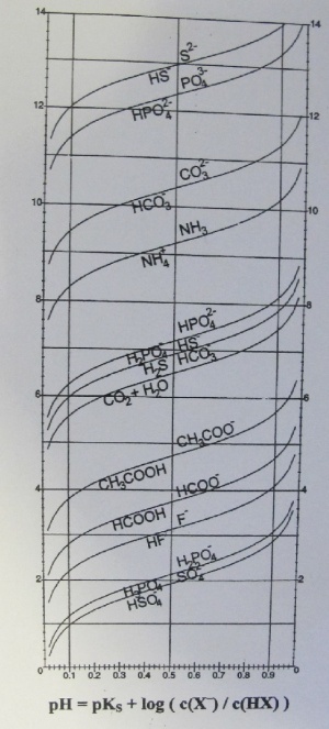 Puffergrafik.jpg